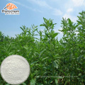 Total Natrual sweetener Stevia Extract manufacturer